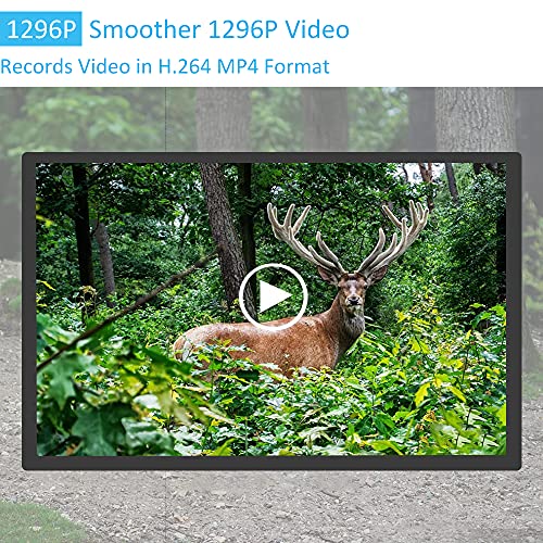 48MP 1296p Trail Camera with 100ft Night Vision L7275