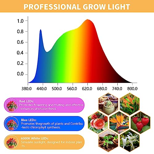 4000K White Full Spectrum Halo Plant Lamp with Auto On Off Timer P29253