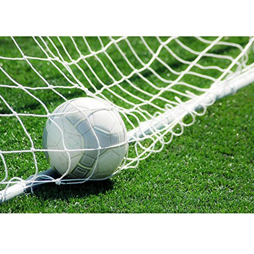 Portable Soccer Goal Post Net Y535