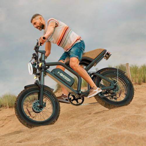 20 x 4 Inch Fat Tire 750W Electric Bike F326957