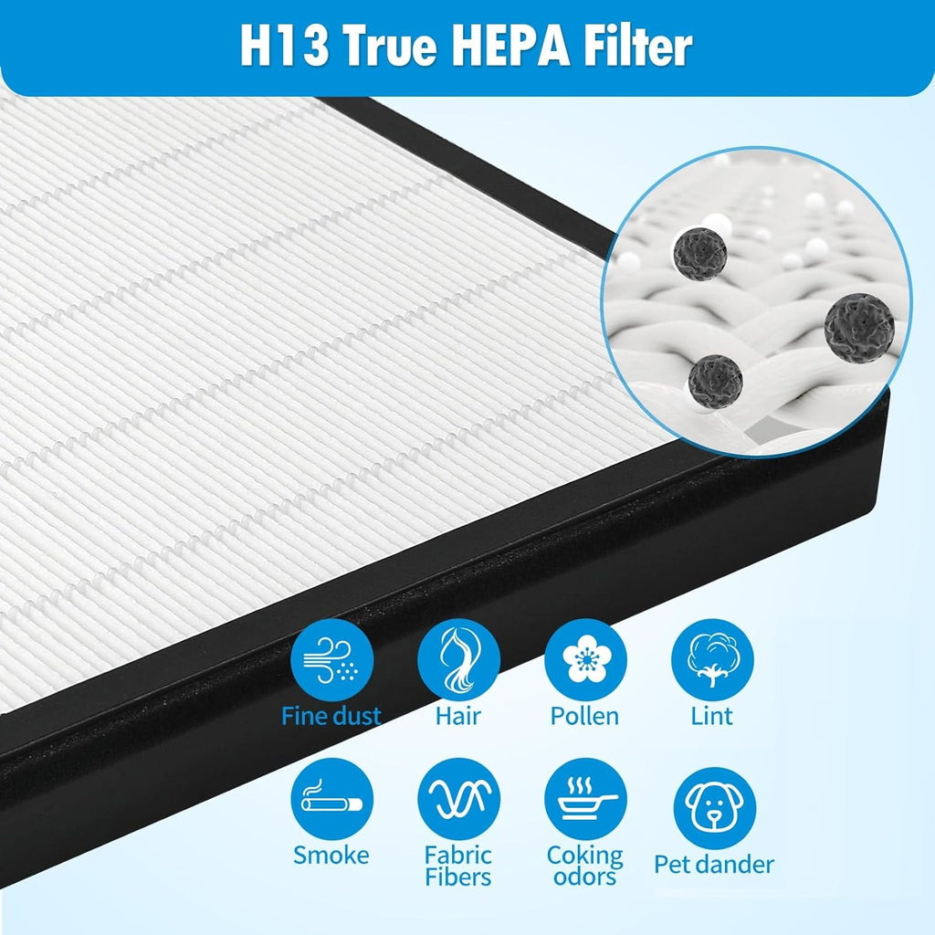 2-Pack White H13 True HEPA Activated Carbon Filter X268