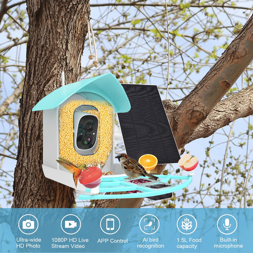 1080P Solar Powered Smart Bird Feeder with Camera B591
