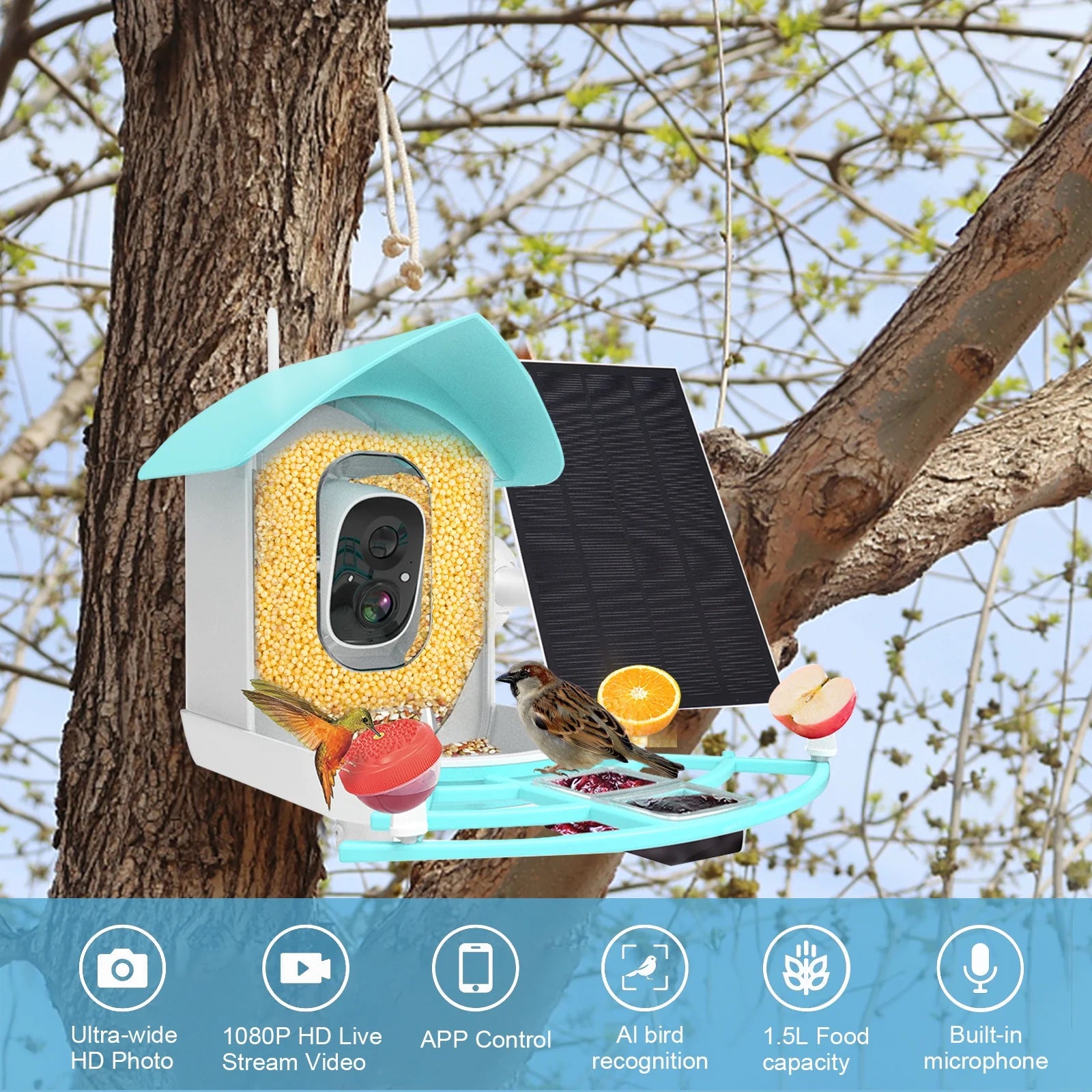 1080P Solar Powered Smart Bird Feeder with Camera B591