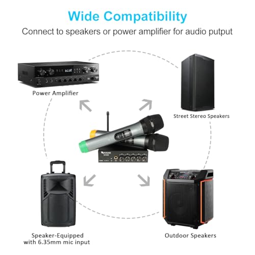 UHF Dual Channel Wireless Handheld Microphone S974111
