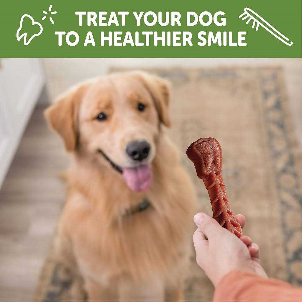 Natural Dental Dog Treats Value Box E29005