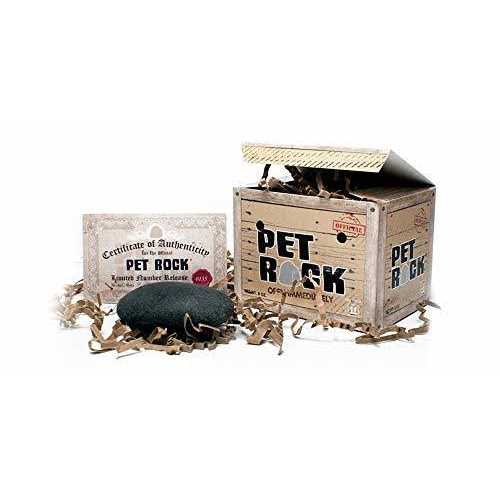 Pet Rock I46411