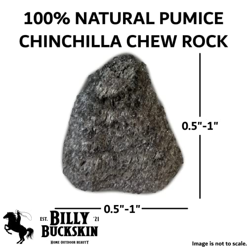 Volcanic Pumice Chinchilla Chew Block M3692
