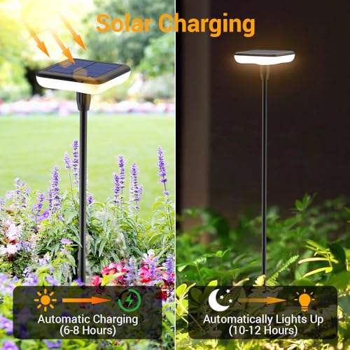 4 Pack 31" Tall Solar Pathway Light Z815