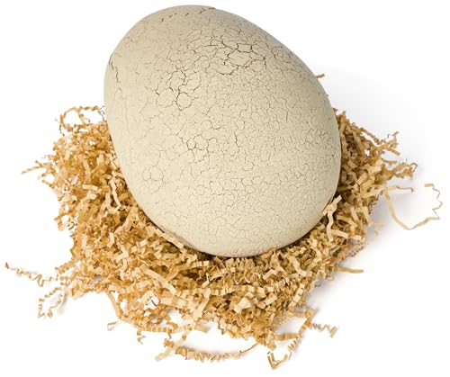 Interactive Toy Dinosaur & Egg U187
