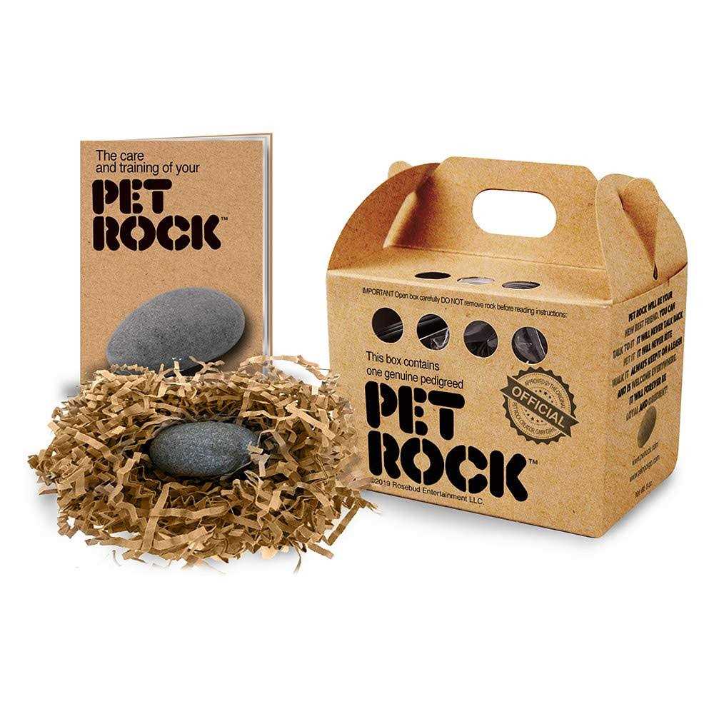 Pet Rock I46411