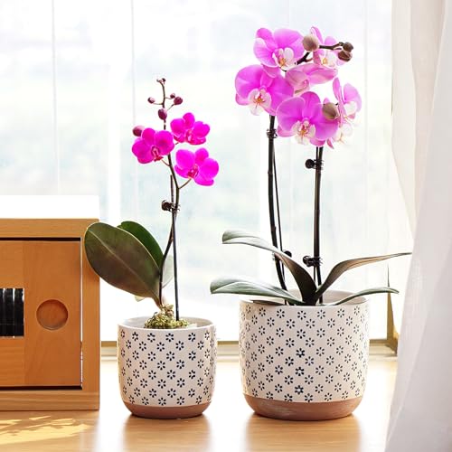 Set of 2 Ceramic Stoneware Plant Pots with Drainage Hole B563273