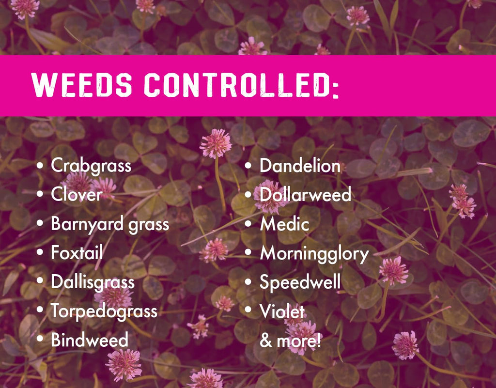 32 ounces Concentrated Crabgrass Herbicide with Quinclorac H65246