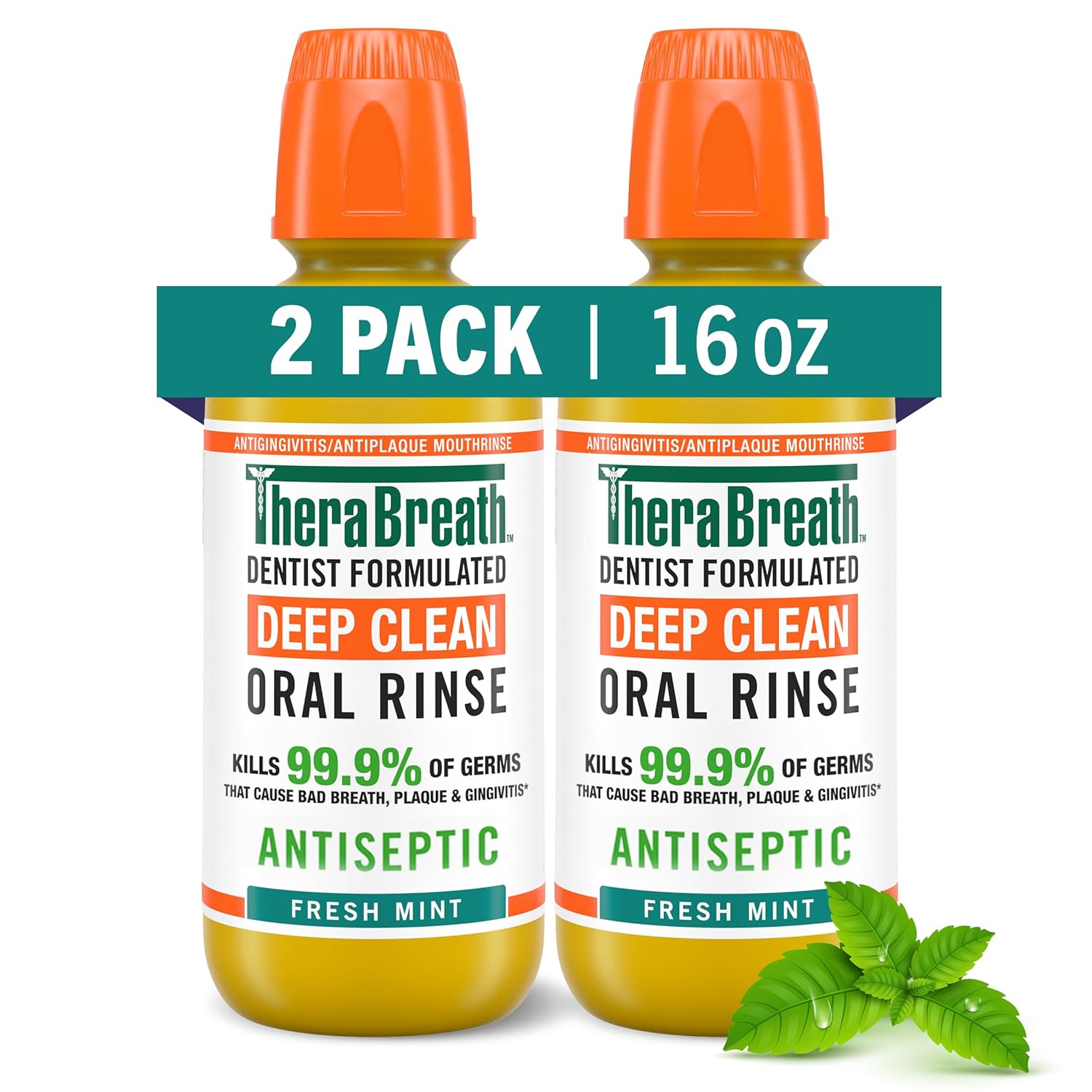 Mild Mint Fluoride Free Toothpaste 4 Ounce (Pack of 2) and Fresh Mint Alcohol Free Antigingivitis Mouthwash 16 fl oz (Pack of 2) I768