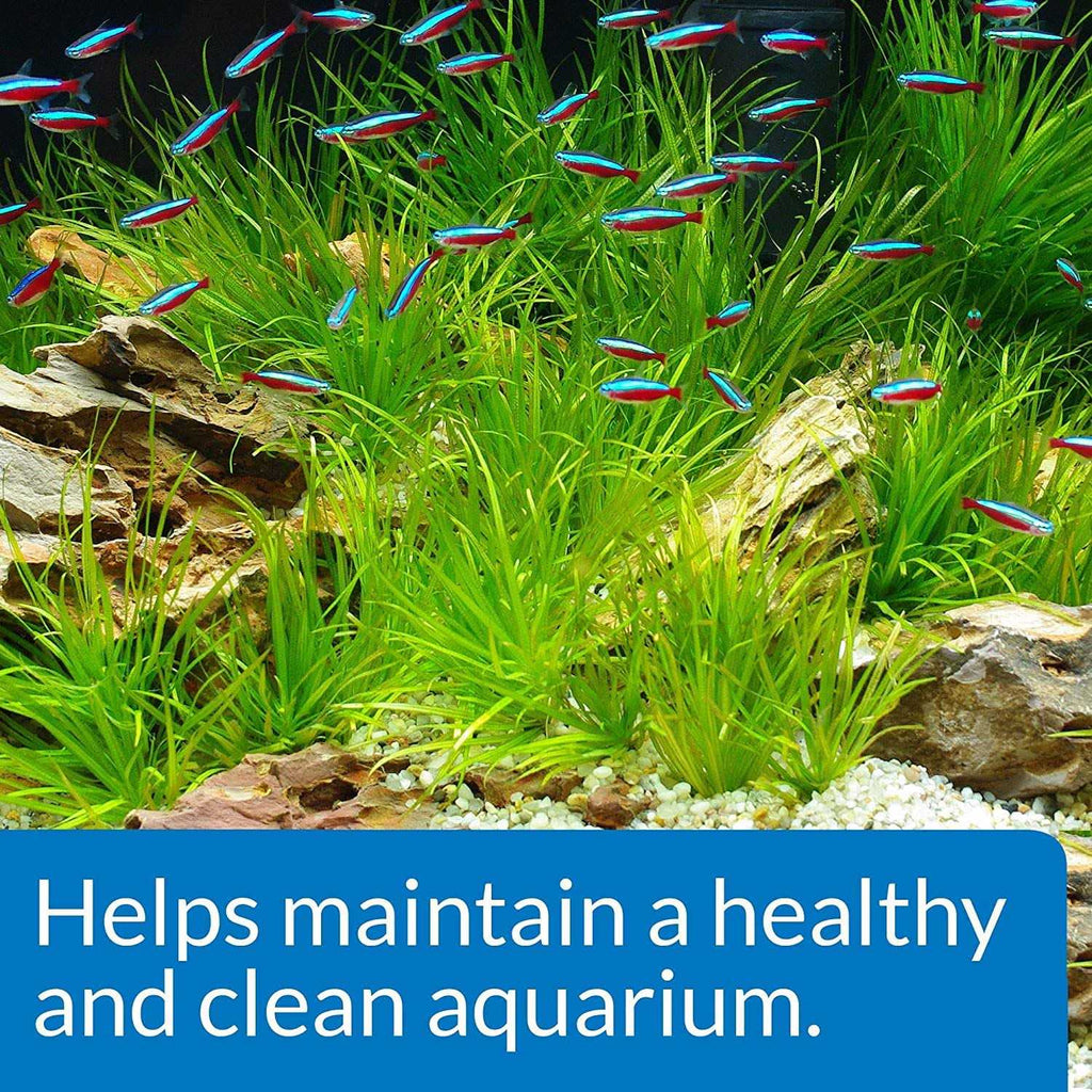 API Aquarium Start Up Pack Q3129
