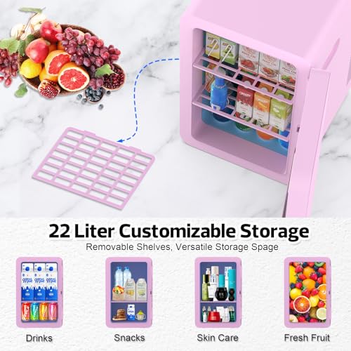 22L Mini Fridge Portable Cooler Warmer Compact Refrigerators with AC/DC Power R508