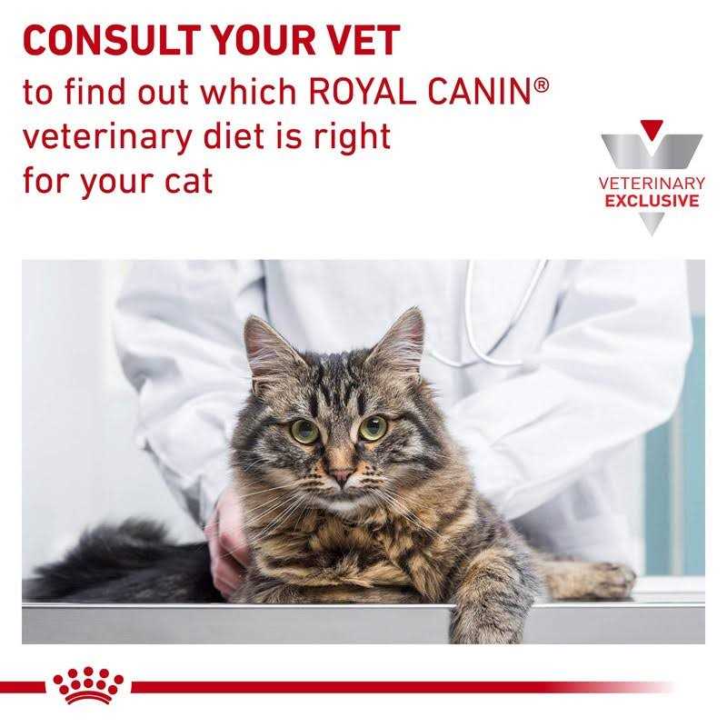 Veterinary Diet Feline Gastrointestinal Kitten Dry Cat Food M2072