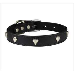 Leather Dog Collar F62160