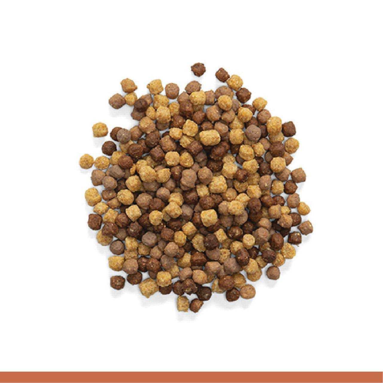 2 lbs Bird Food for Medium Birds F58812