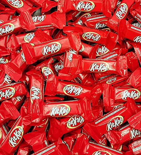 4 Pound Milk Chocolate Candy Bars G461924