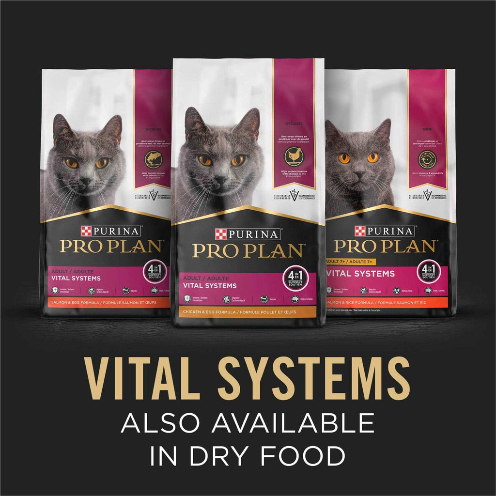 Wet Cat Food in Gravy R52335