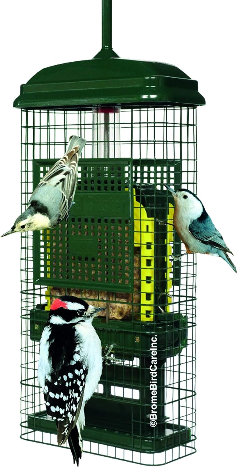 Green Suet Bird Feeder with 2 Suet Cake Trays K82129