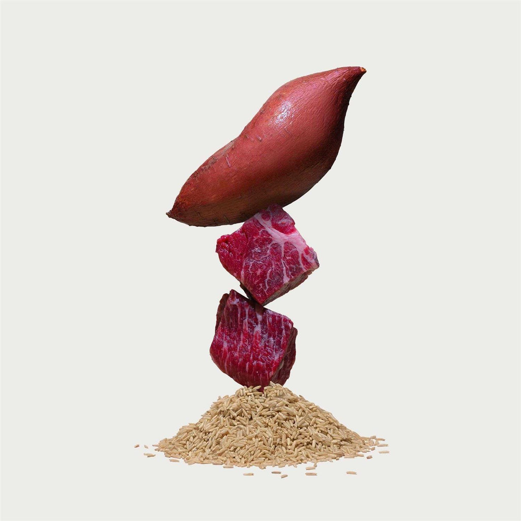 Beef Brown Rice & Sweet Potato Dry Dog Food C50679