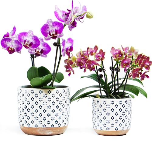 Set of 2 Ceramic Stoneware Plant Pots with Drainage Hole B563273