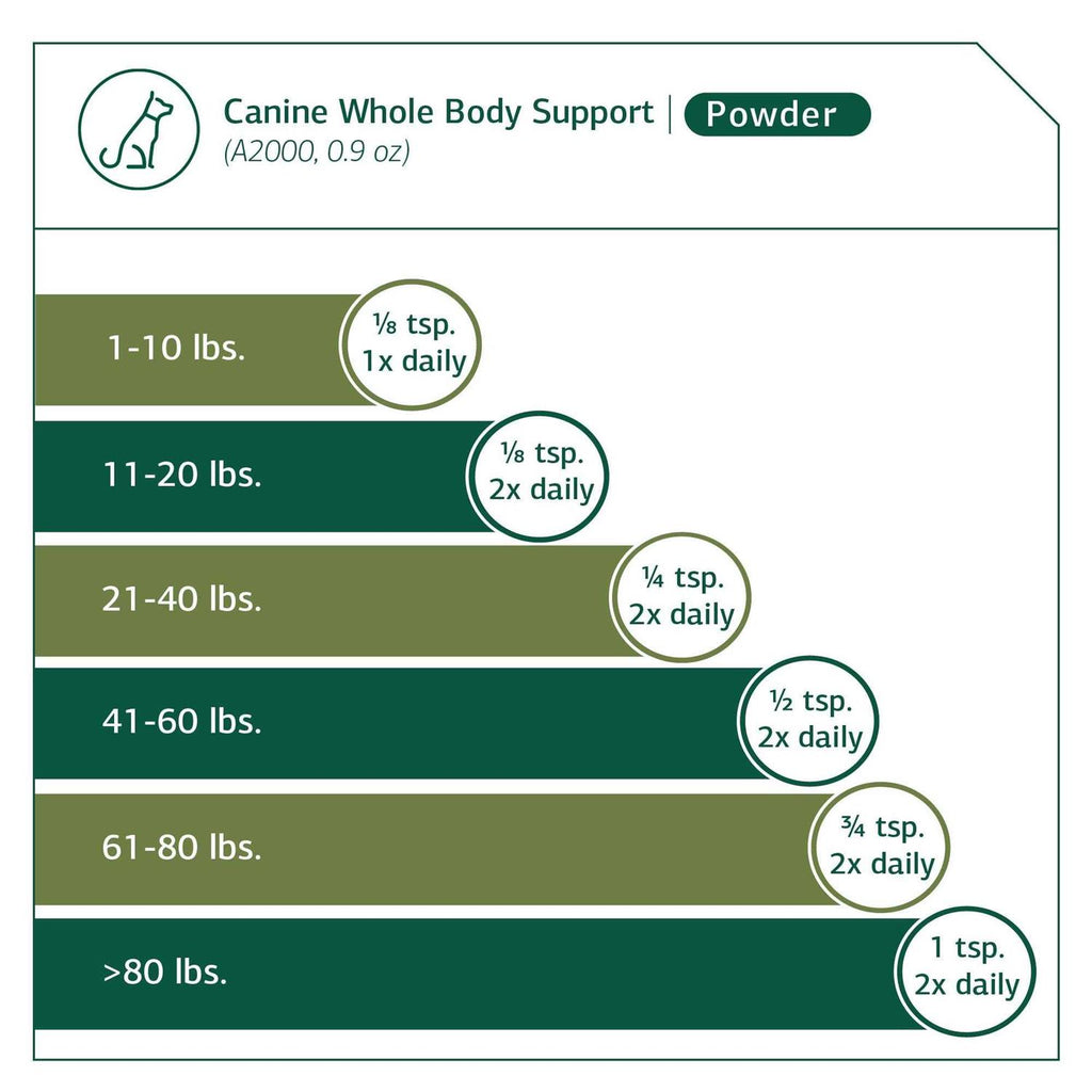 Canine Whole Body Support C159906