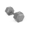 Hex Dumbbells Pair C9331