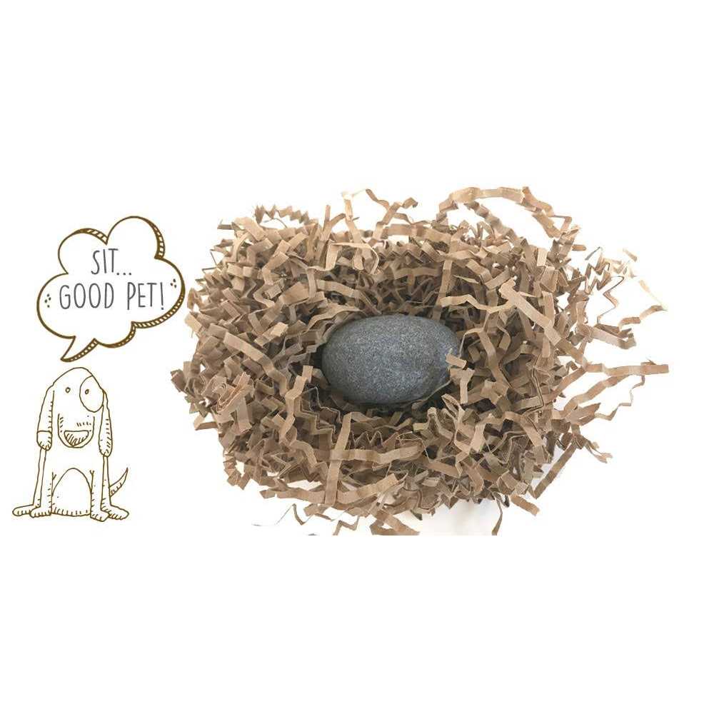 Pet Rock I46411