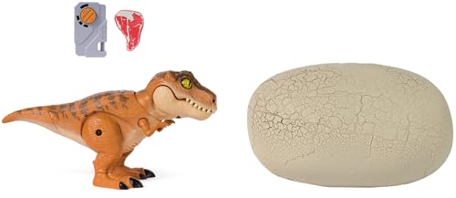 Interactive Toy Dinosaur & Egg U187