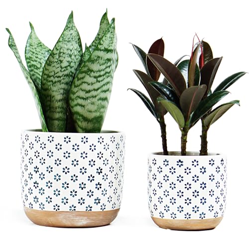 Set of 2 Ceramic Stoneware Plant Pots with Drainage Hole B563273