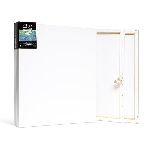 Stretched Canvases Multi-Pack Blank Canvas for Painting U684