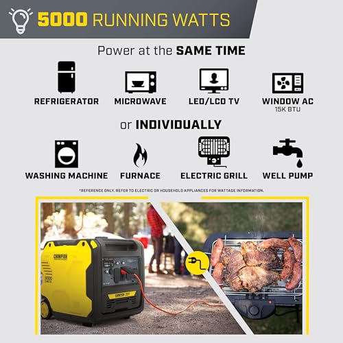 6500-Watt Portable Inverter Generator Q7611