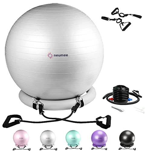 Large Size 65 cm Exercise Ball Chair with Stability Base N51416