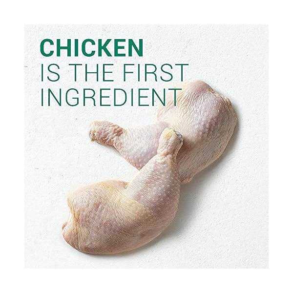 Large Breed Adult Chicken Dry Dog Food V916
