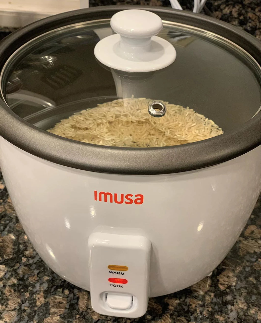 8 Cup Electric Rice Cooker R4789