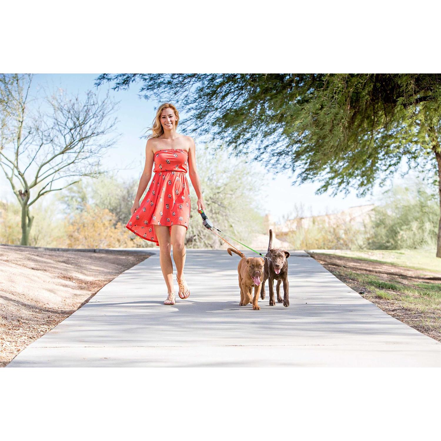 Dual Retractable Leash V3213