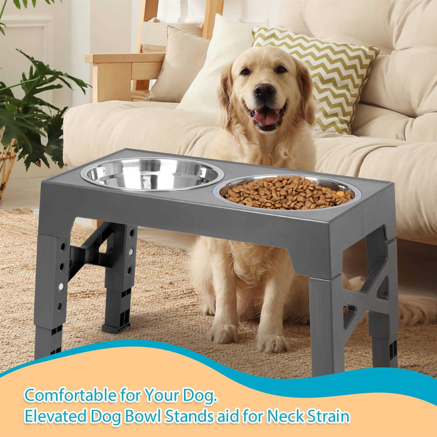 Elevated Dog Bowls with 2 Stainless Steel Dog Food Bowls E47551