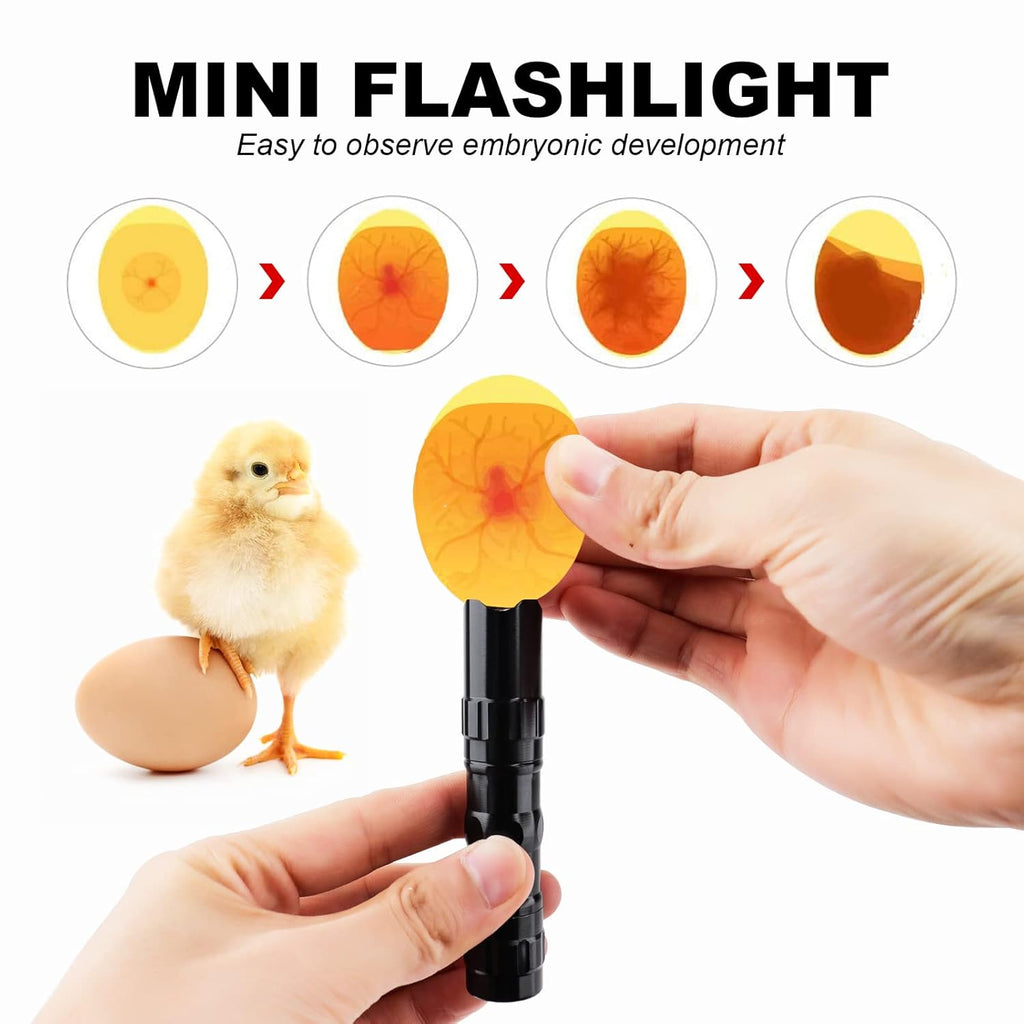 12-24 Egg Incubator with Automatic Egg Turner H921