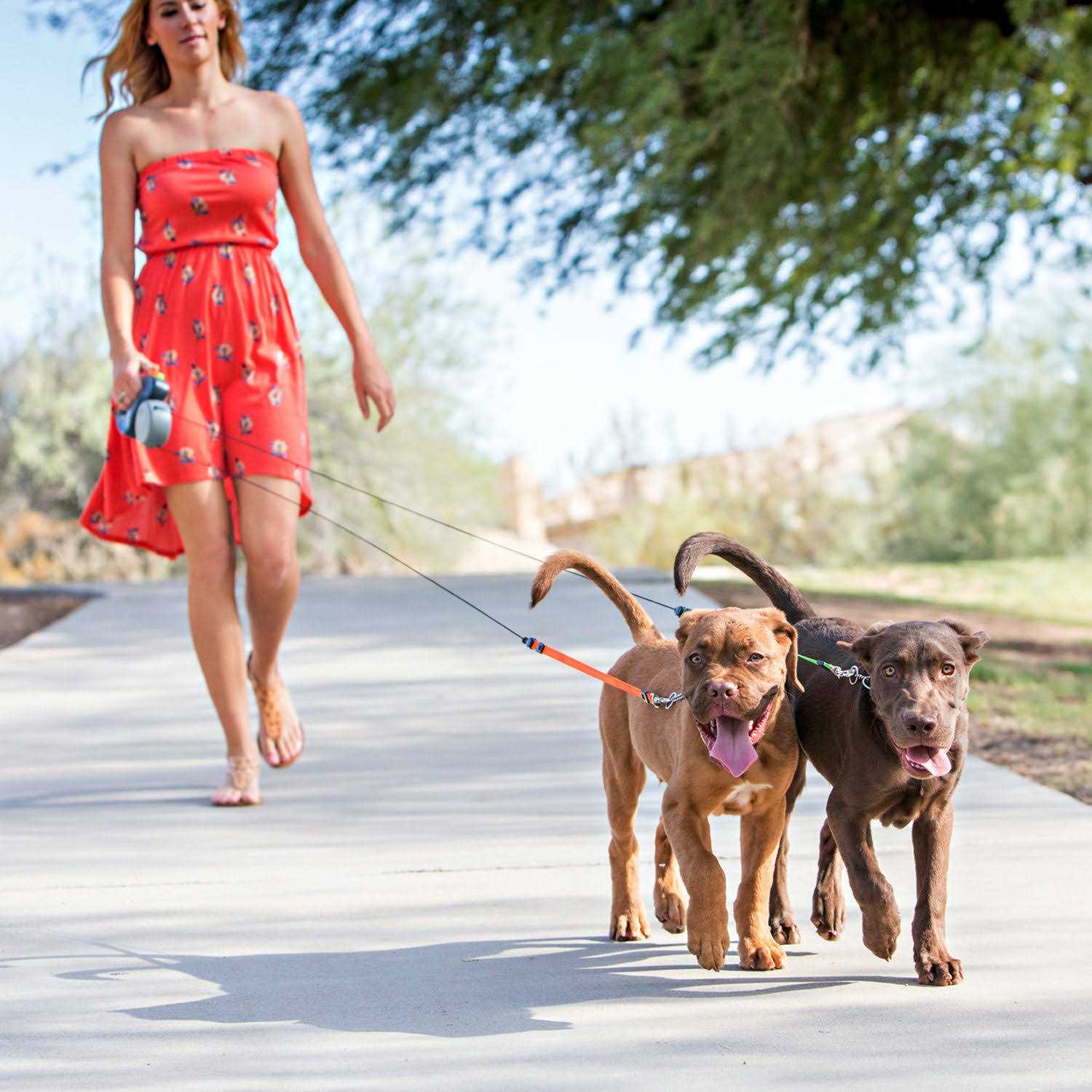 Dual Retractable Leash V3213