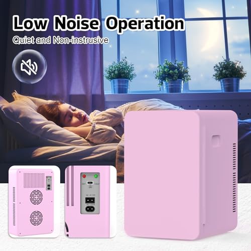 22L Mini Fridge Portable Cooler Warmer Compact Refrigerators with AC/DC Power R508