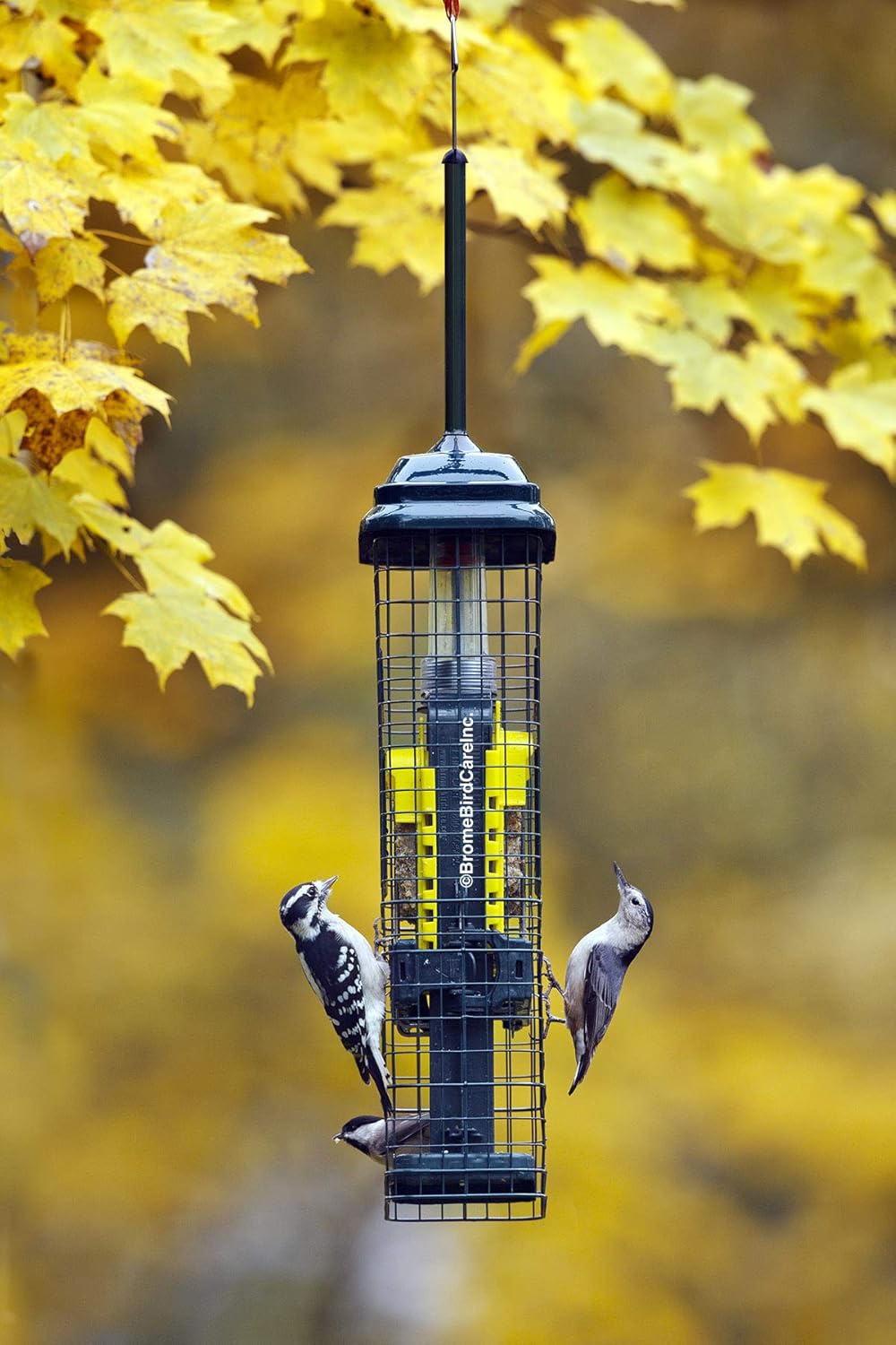 Green Suet Bird Feeder with 2 Suet Cake Trays K82129