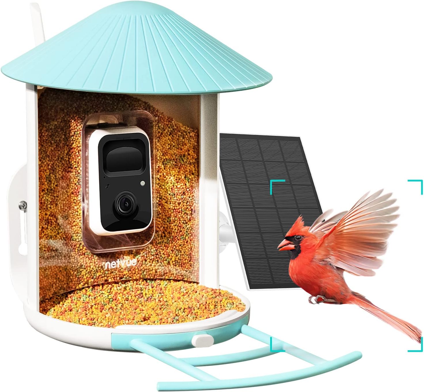 Birdfy Solar Camera with Humming Bird Feeder Extension Perch H286859
