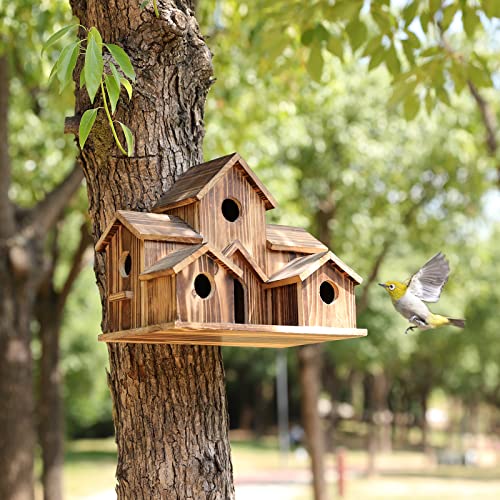 Large Bird House for 6 Bird Families F698194