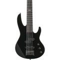 Black 5-String Bass Guitar R9166