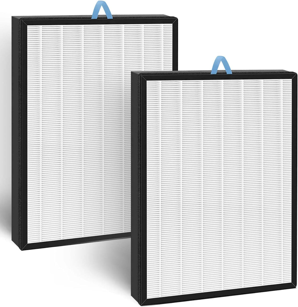 2-PACK High-Efficiency Activated Carbon Filters B44519