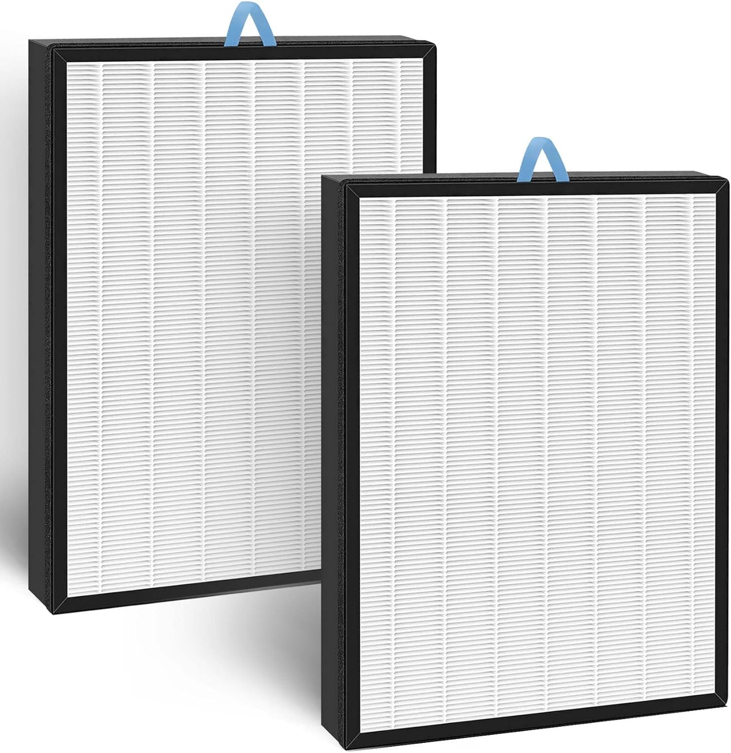 2-PACK High-Efficiency Activated Carbon Filters B44519
