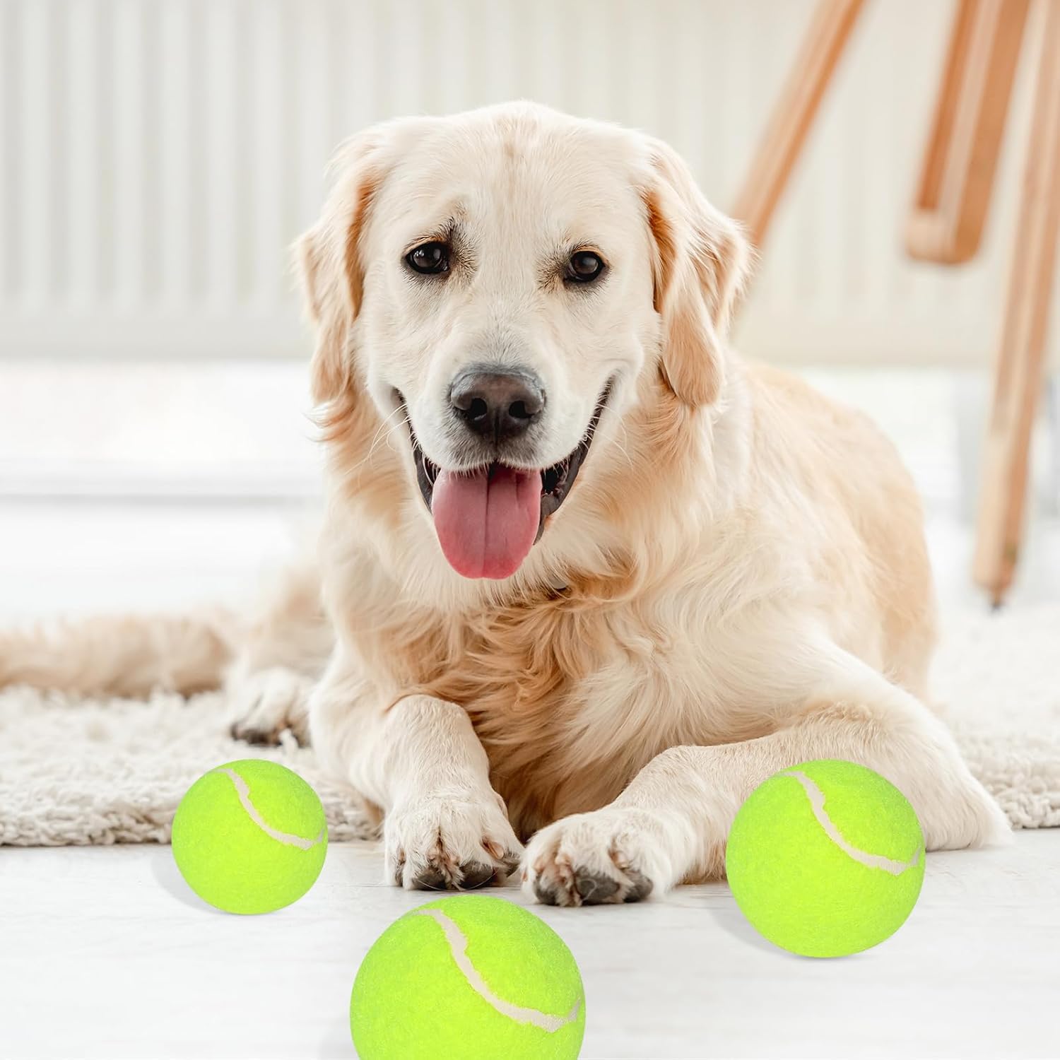 12 Pack 2inch Tennis Balls for Dogs I9727
