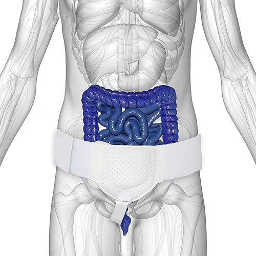 Adjustable Medical Inguinal Hernia Support Truss B845104